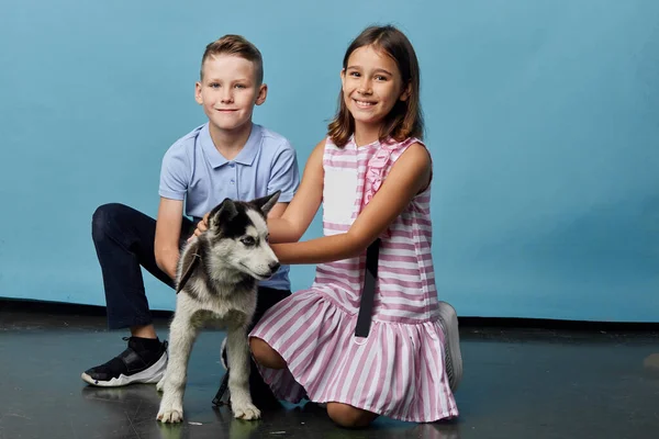 Irmã e prother tem um cão no aniversário — Fotografia de Stock