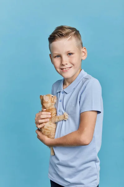 Schattig kat genieten van tijd doorbrengen met een huisdier — Stockfoto