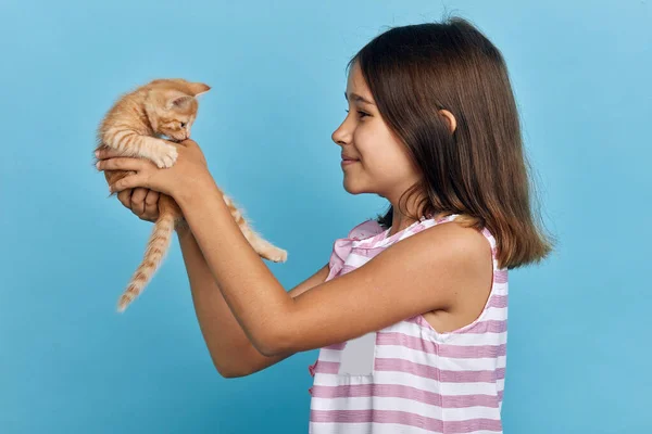 Menina gentil atraente levantando seu gato, adora, adora animal de estimação — Fotografia de Stock