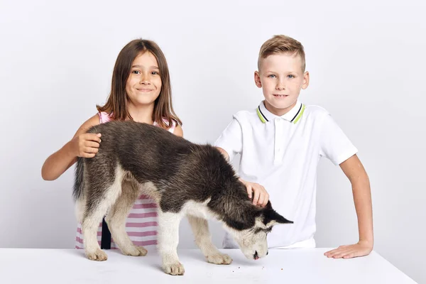 Menina e menino givig comida para animal vadio, theu tê-lo encontrado na rua — Fotografia de Stock