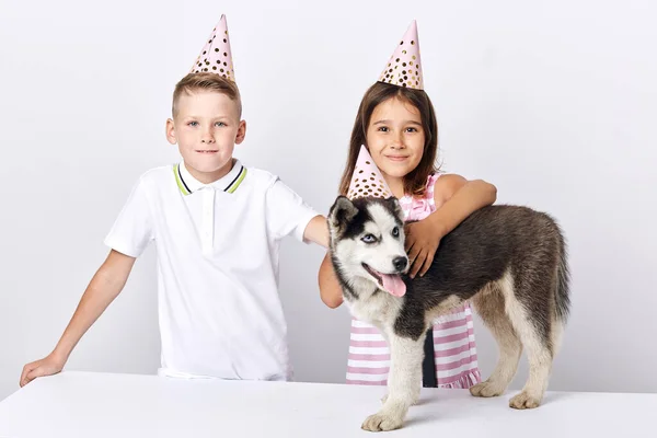 Adorabile bello bambini gentili che celebrano anniversario del cane — Foto Stock
