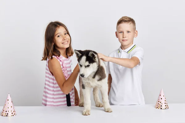 Crianças comemorando aniversário de seu animal de estimação — Fotografia de Stock