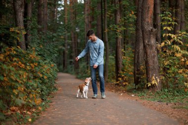Yakışıklı adam parktaki köpeğiyle vakit geçiriyor.