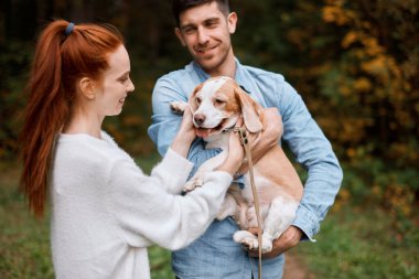 Zencefilli mutlu kız evcil hayvanla eğlenirken erkek arkadaşı köpeği besliyor.
