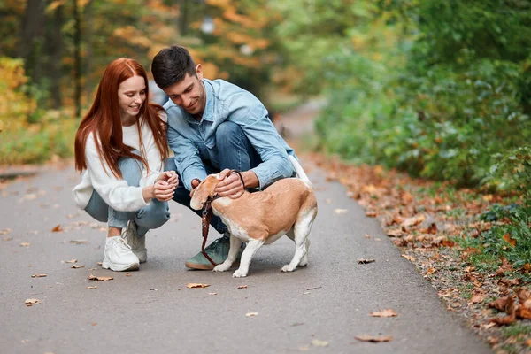 Junges romantisches Paar liebt das Haustier — Stockfoto