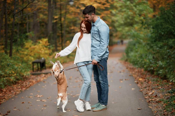 Jovem casal positivo adora, ama seu animal de estimação — Fotografia de Stock