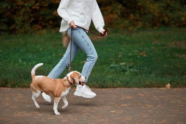 Ung idrottskvinna springer med sin hund i skogen — Stockfoto