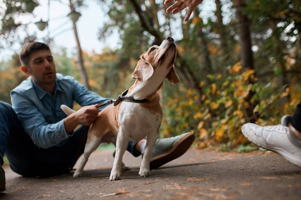 Homem segurando seu cão agressivo, tentando acalmá-lo — Fotografia de Stock