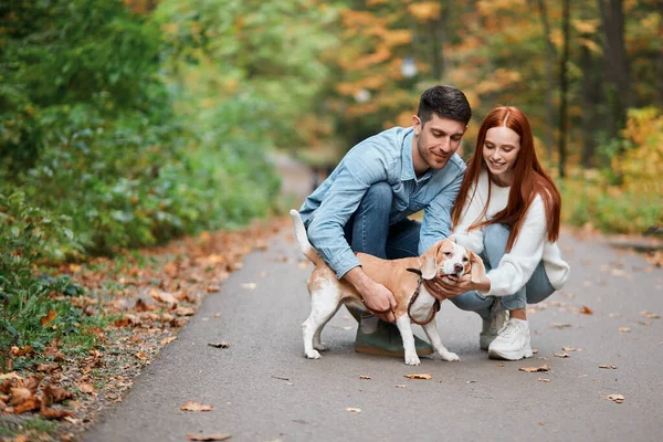 Jovem de boa aparência homem e mulher domesticando seu cão — Fotografia de Stock