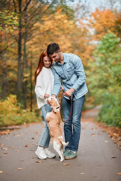 Cão brinca com os proprietários na floresta de outono — Fotografia de Stock