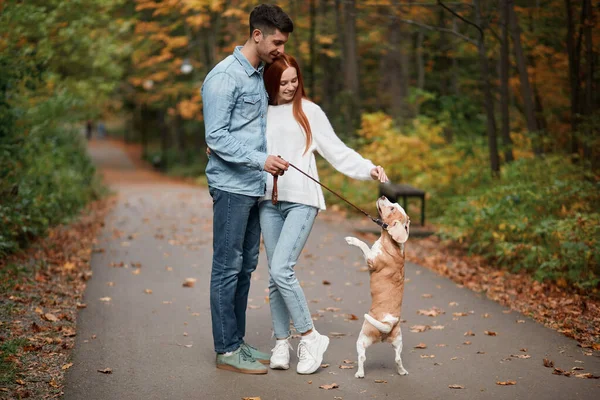 Gengibre bela mulher domesticando seu animal de estimação, abraçando seu namorado — Fotografia de Stock