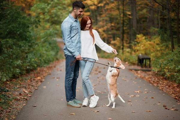 Sorrindo boa aparência da família gostando de passar tempo com o cão na floresta — Fotografia de Stock