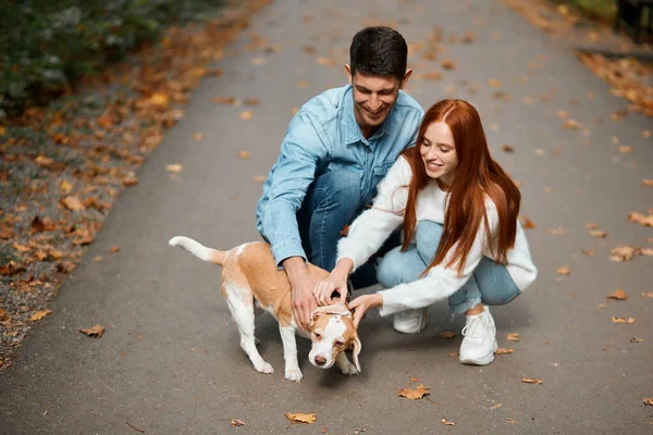 Mulher macia e homem segurando cachorrinho bonito  . — Fotografia de Stock