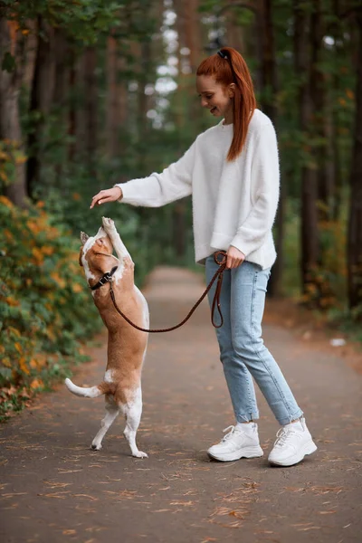 Весёлая счастливая девушка радуется достижениям своих собак — стоковое фото