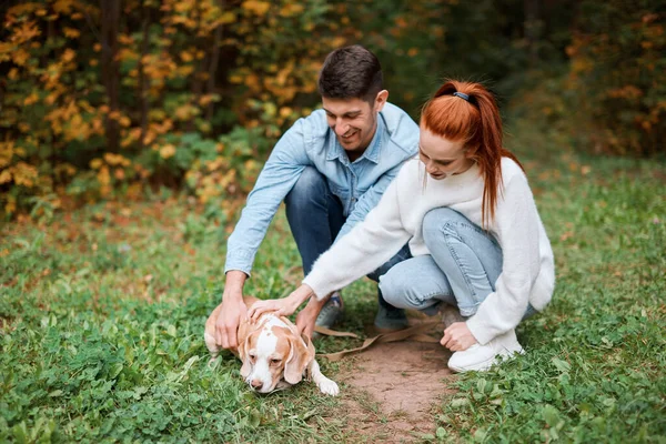 Feliz jovem handsoem mand e gengibre menina cuidar de seu animal de estimação — Fotografia de Stock