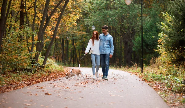 Joven pareja amorosa con perro paseando en el bosque de otoño — Foto de Stock