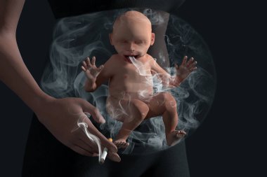Bebek şiş bebek yasaktır. Doğmamış bebek bebek yumru içinde pasif sigara içiyor