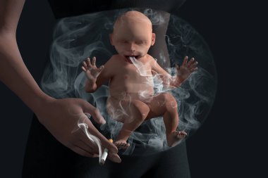 Smoking baby in baby bump. Unborn baby in baby bump smokes passively clipart