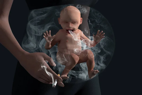 Bebek şiş bebek yasaktır. Doğmamış bebek bebek yumru içinde pasif sigara içiyor — Stok fotoğraf