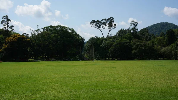 Botanická zahrada, kandy, Srí lanka — Stock fotografie