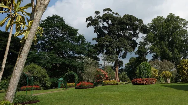 Botanická zahrada, kandy, Srí lanka — Stock fotografie