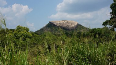 Güzel bir yeşil manzara doğa arka plan yürüyüş. Sigiriya, Sri Lanka yakınında