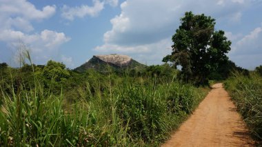 Güzel bir yeşil manzara doğa arka plan yürüyüş. Sigiriya, Sri Lanka yakınında
