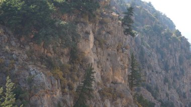 Kelebekler Vadisi kayalar ve ağaçlar