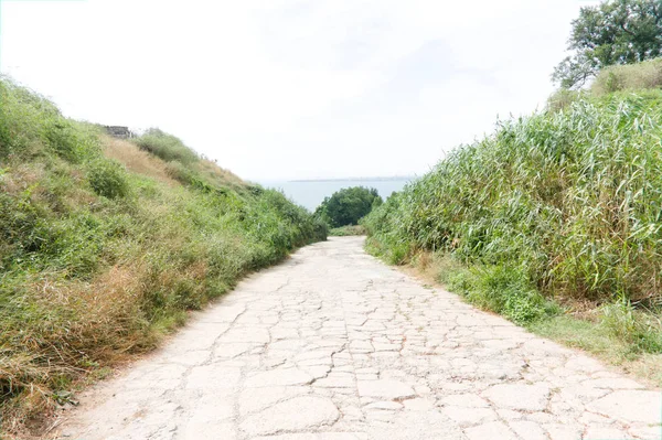 Plage et dunes avec herbe de plage en été, chemin de pierre menant à la plage à la mer Noire — Photo