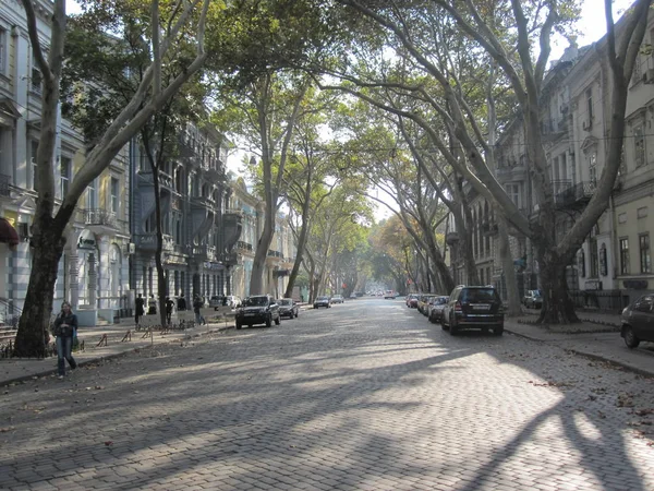 Callejón con árboles a un lado y adoquines en la ciudad de odessa —  Fotos de Stock