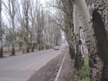 Yol yüzeyinin kötü durumu. Kış mevsimi. Asfaltdelik, araba ile hareket riski, kötü asfalt, tehlikeli yol, asfalt çukurlar.