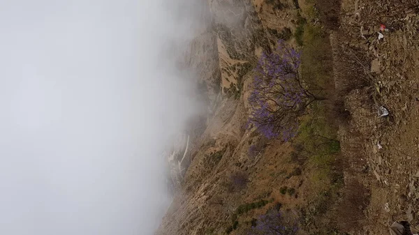 Paysage incroyable sur le chemin de Asmara à — Photo