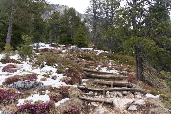 Caminhos cobertos de neve em abril em val gardena, dolomitas, itália — Fotografia de Stock