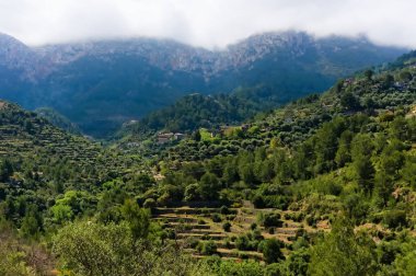 Mallorca Deia 'nın güzel köyü