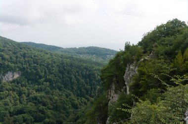 Dağ ormanı ağaçları ve dramatik ağır mavi gökyüzü görünümü. Güneşli arka plan ile doğal manzara. Bulutların manzarası olan yeşil orman ormanı. Rus doğası, Soçi