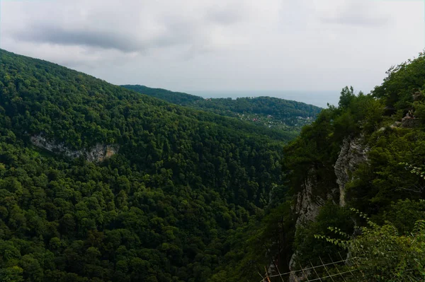 Vue des arbres de la forêt de montagne et ciel bleu lourd dramatique. Paysage naturel avec fond ensoleillé. Forêt de bois vert avec paysages nuageux. Nature russe, Sotchi — Photo