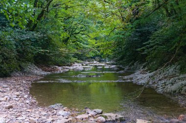 Soçi'de dağ hızlı nehir Soçi
