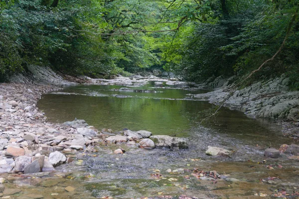 Montagna veloce fiume Sochi a Sochi — Foto Stock