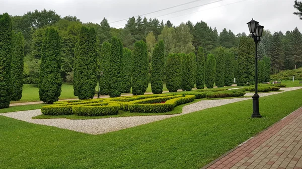 Kislovodsk doğal parkta gül vadisinde selvi sokakta yürüyen çift, Rusya. Yağmurlu hava