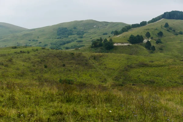 Pelouse verte paysage de colline d'herbe dans les montagnes du caucase près de kislowodsk — Photo