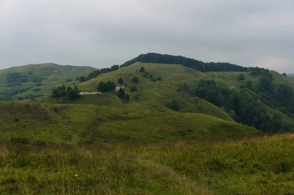 Pelouse verte paysage de colline d'herbe dans les montagnes du caucase près de kislowodsk — Photo