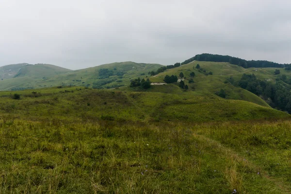 Grünen Rasen Gras Hügellandschaft in den Kaukasus-Bergen in der Nähe kislowodsk — Stockfoto