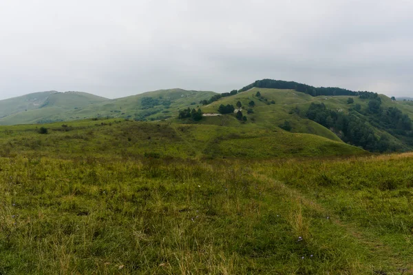 Grünen Rasen Gras Hügellandschaft in den Kaukasus-Bergen in der Nähe kislowodsk — Stockfoto