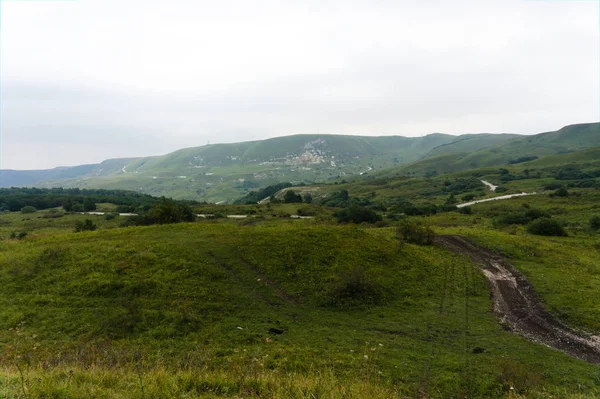 Pelouse verte paysage de colline d'herbe dans les montagnes du caucase près de kislowodsk — Photo