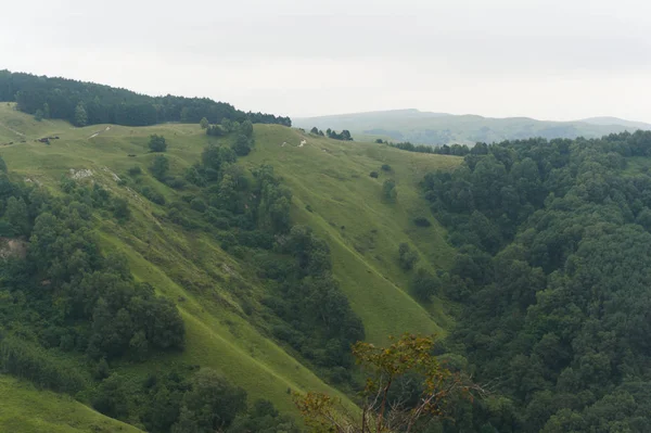 Pelouse verte paysage de colline d'herbe dans les montagnes du caucase près de kislowodsk — Photo