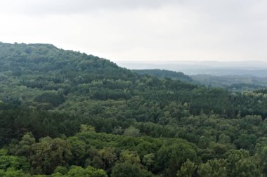 Kuzey Kafkasya'nın havadan görünümü orman manzarası, Kislovodsk resort Park.