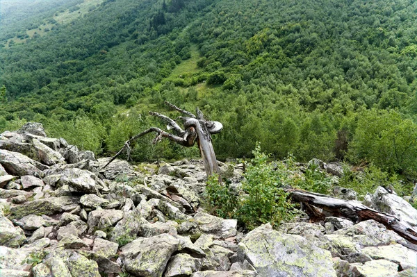 Гірський ландшафт, озеро і гірський хребет. Домбей — стокове фото