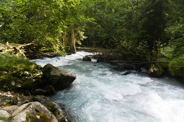 Μια ταχεία ορεινό ποτάμι με καθαρό νερό χύνει σε βράχια και ορμητικά, περιτριγυρισμένο από καταπράσινα δάση κωνοφόρων Teberda, Dombay, Ρωσία — Φωτογραφία Αρχείου