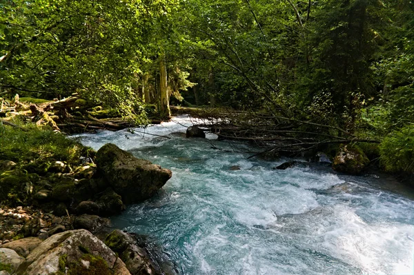 Ein schneller Gebirgsfluss mit klarem Wasser ergießt sich auf Felsen und Stromschnellen, umgeben von grünen Nadelwäldern teberda, dombay, russland — Stockfoto