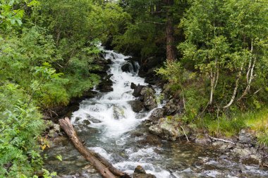 kuzey kafkasya'da dombay ve teberda yakınlarındaki dağ nehri, ham orignial, Ağustos 2019